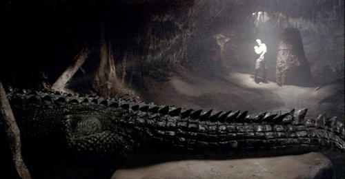 crocodile - Solitaire