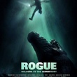 rogue affiche - Solitaire
