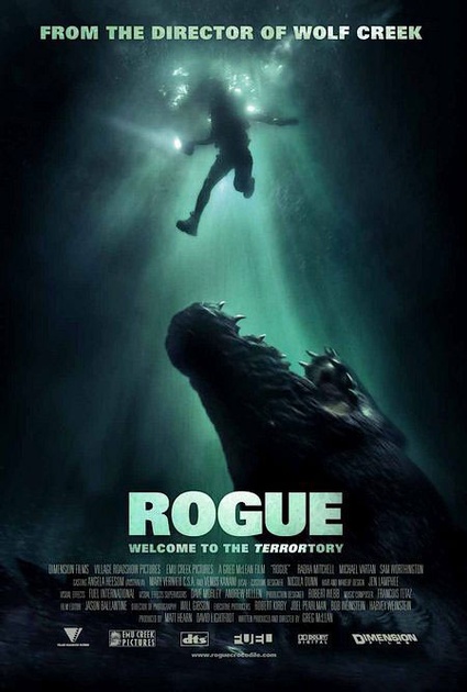 rogue affiche - Solitaire