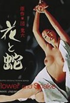 Affiche miniature du film Fleur secrète