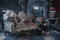chloe-moretz-gulliver-mcgrath-jpg