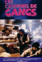 Affiche miniature du film Les casseurs de gangs