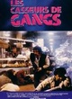 Affiche du film Les casseurs de gangs