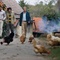 richard gere 2 - The Hunting Party - The Hunting Party 