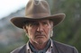 harrison ford