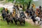 robin hood plateau