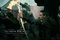 Robin Hood, poster