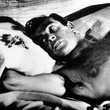 sean-connery-et-une-araignee-jpg