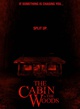affiche-teaser-jpg