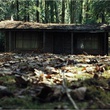 la-cabane-jpg