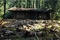la-cabane-jpg