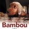 Affiche du film Bambou - Bambou 