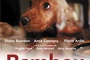 Affiche du film Bambou