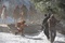 sc  ne 2 du film conan