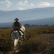 jean dujardin alias lucky luke