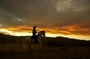 photo du film lucky luke 3