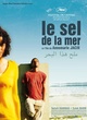 Affiche du film Le Sel de la Mer