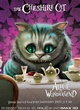 affiche promotionnelle le chat