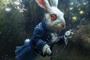 affiche promotionnelle le lapin blanc