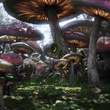 champignons de Alice au pays des merveilles