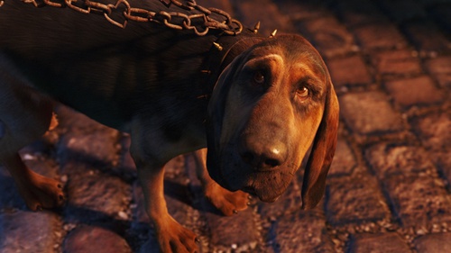 chien