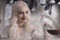 la reine blanche cuill  re en main