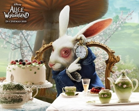 Lapin blanc