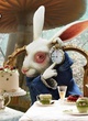 Lapin blanc