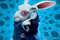 le lapin blanc en affiche