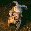 le lapin blanc soumis