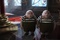 les jumeaux