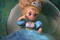 la poup e