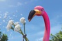 le flamant rose