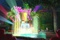 un jardin enchante