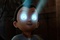 astro boy et sa super vision