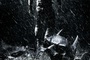 affiche-teaser-bane-jpg