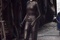 ane-hathaway-png