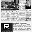 gotham-observer-3-jpg
