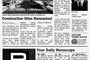 gotham-observer-3-jpg