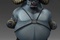 photo de kung fu panda 2