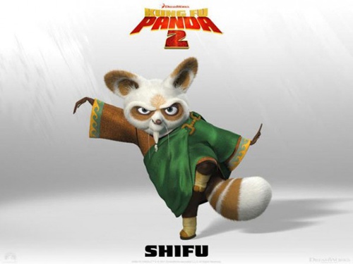 photo promotionnelle maitre shifu