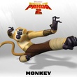 photo promotionnelle singe