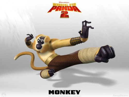 photo promotionnelle singe