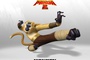 photo promotionnelle singe