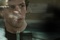 jesse eisenberg dans the social network