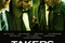 affiche teaser