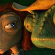 feve et rango