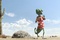 rango dans le desert