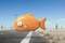 un poisson
