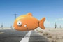 un poisson